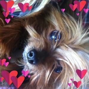 Meet your Posher, Tracy